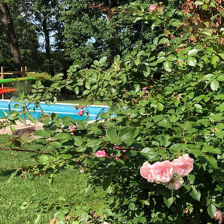 Ferienapartments Spreewaldwiesen Фечау Номер фото